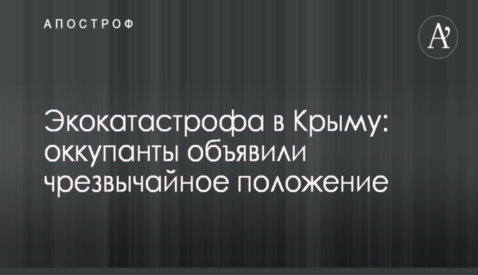 Стало известно, как Манафорт дискредитировал Тимошенко в западных СМИ