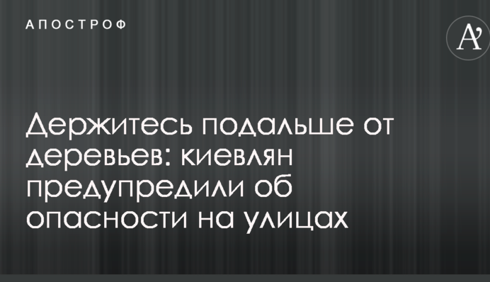 Держитесь подальше от деревьев: киевлян предупредили об опасности на улицах