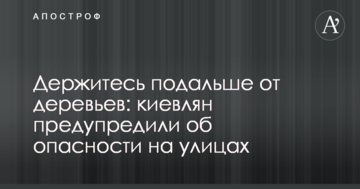 Тримайтеся подалі від дерев: киян попередили про небезпеку на вулицях