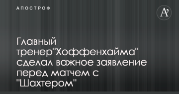 Главный тренер"Хоффенхайма" сделал важное заявление перед матчем с "Шахтером"
