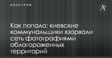 Как попало: киевские коммунальщики взорвали сеть фотографиями облагороженных территорий