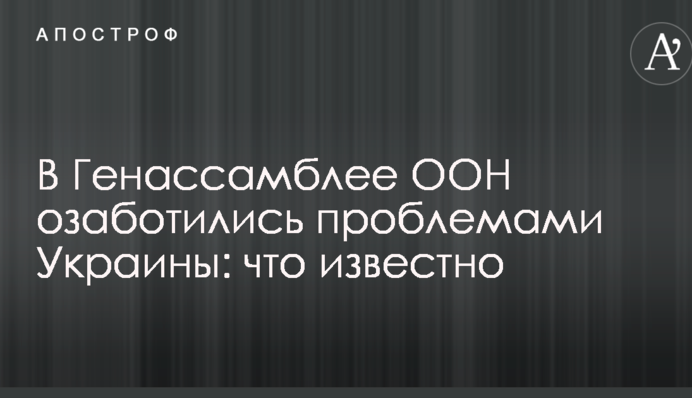 В Генассамблее ООН озаботились проблемами Украины: что известно