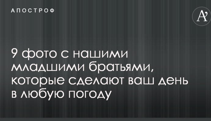 9 фото с нашими младшими братьями, которые сделают ваш день в любую погоду