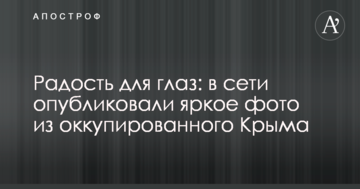 Радость для глаз: в сети опубликовали яркое фото из оккупированного Крыма