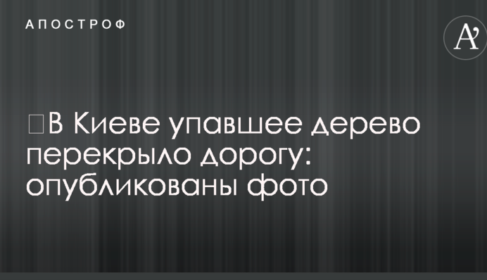 ​У Києві повалене дерево перекрило дорогу: опубліковано фото