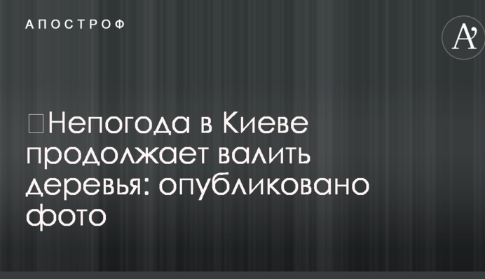 ​Негода в Києві продовжує валити дерева: опубліковано фото