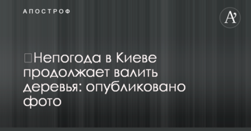 ​Негода в Києві продовжує валити дерева: опубліковано фото
