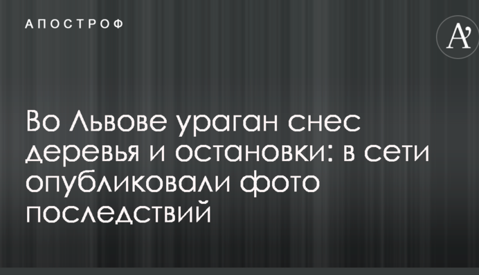 Во Львове ураган снес деревья и остановки: в сети опубликовали фото последствий