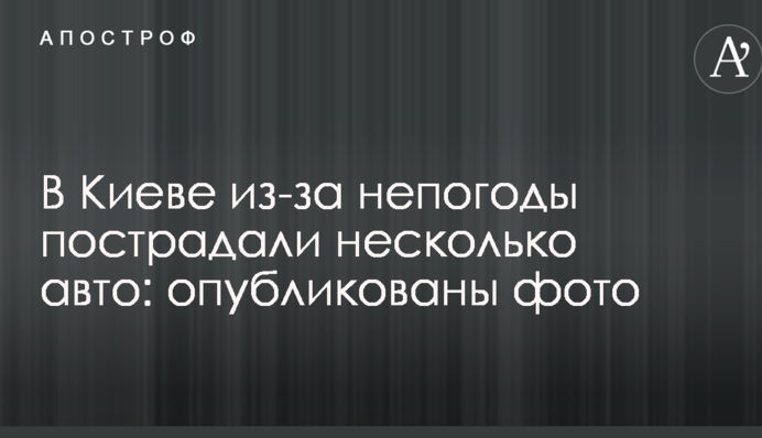 У Києві через негоду постраждали декілька авто: опубліковано фото