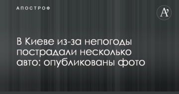 У Києві через негоду постраждали декілька авто: опубліковано фото