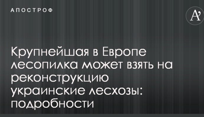 Крупнейшая в Европе лесопилка может взять на реконструкцию украинские лесхозы: подробности
