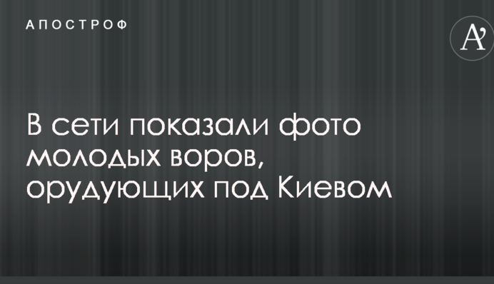 В сети показали фото молодых воров, орудующих под Киевом