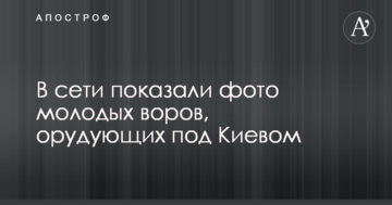 У мережі показали фото молодих злодіїв, які орудують під Києвом