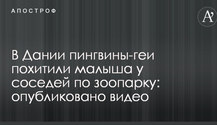 В Дании пингвины-геи похитили малыша у соседей по зоопарку: опубликовано видео