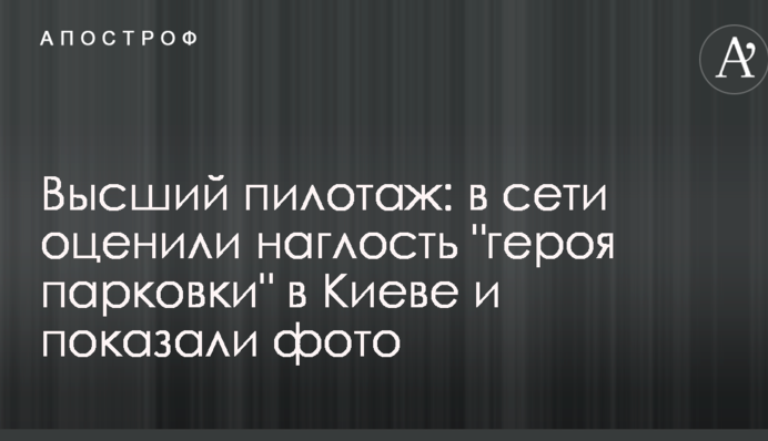 Высший пилотаж: в сети оценили наглость 