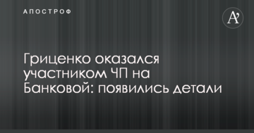 Гриценко виявився учасником НП на Банковій: з'явилися деталі