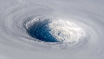 У "Батьківщині" різко висловилися з приводу ситуації довкола  "Нафтогазу"