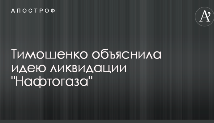 Тимошенко пояснила ідею ліквідації 