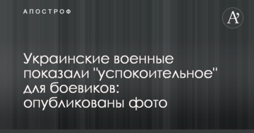 Українські військові показали "заспокійливе" для бойовиків: опубліковано фото