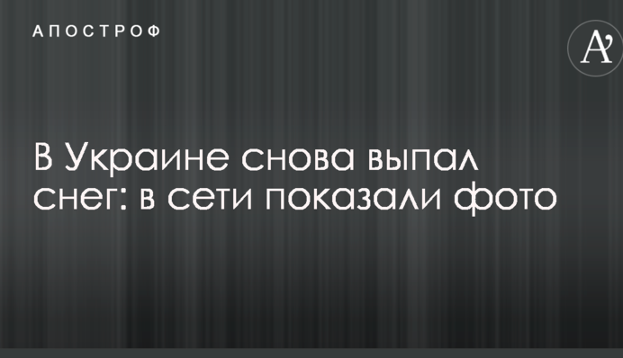 В Украине снова выпал снег: в сети показали фото