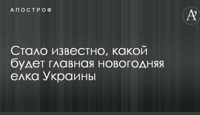 Стало известно, какой будет главная новогодняя елка Украины