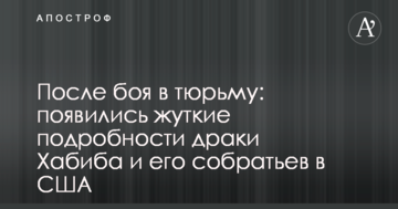 После боя в тюрьму: появились жуткие подробности драки Хабиба и его собратьев в США