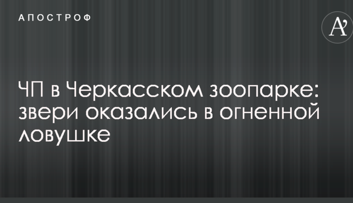 ЧП в Черкасском зоопарке: звери оказались в огненной ловушке