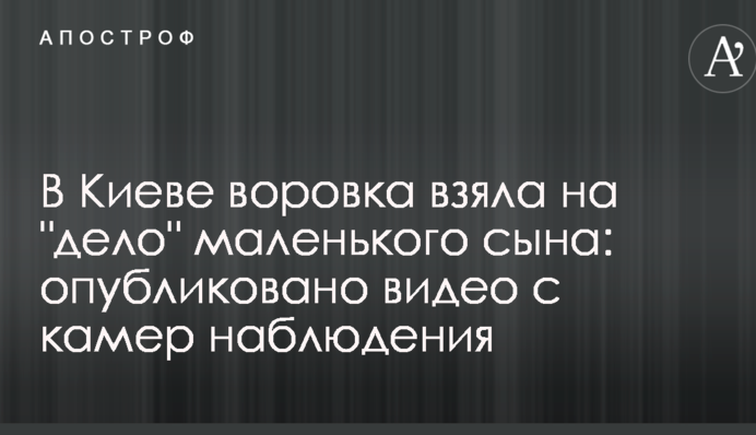 В Киеве воровка взяла на 