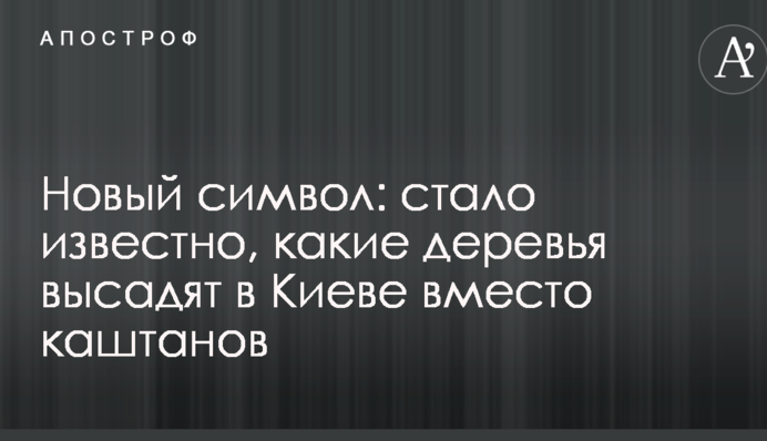 Новий символ: стало відомо, які дерева висадять у Києві замість каштанів