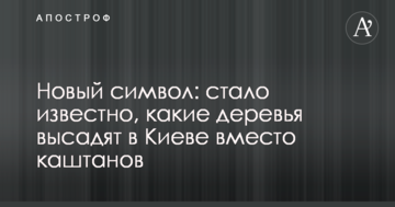 Новий символ: стало відомо, які дерева висадять у Києві замість каштанів