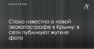 Стало известно о новой экокатастрофе в Крыму: в сети публикуют жуткие фото