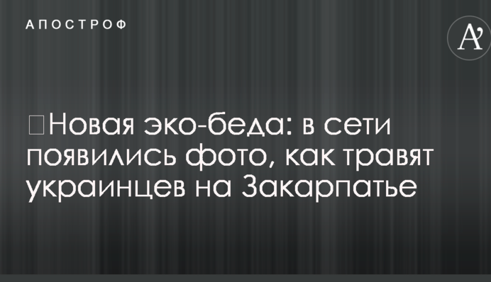 ​Новая эко-беда: в сети появились фото, как травят украинцев на Закарпатье