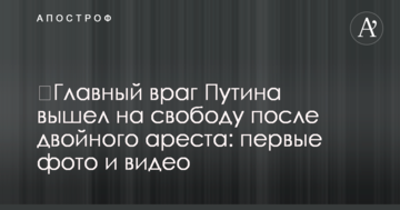 ​Главный враг Путина вышел на свободу после двойного ареста: первые фото и видео