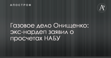 Газовое дело Онищенко: беглый нардеп заявил о просчетах НАБУ