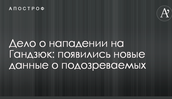 Дело о нападении на Гандзюк: появились новые данные о подозреваемых