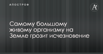 Самому большому живому организму на Земле грозит исчезновение