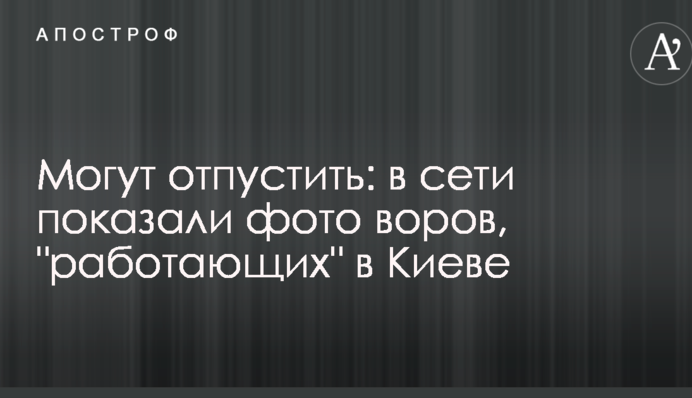 Могут отпустить: в сети показали фото воров, 