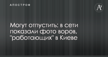 Можуть відпустити: в мережі показали фото злодіїв, які "працюють" в Києві