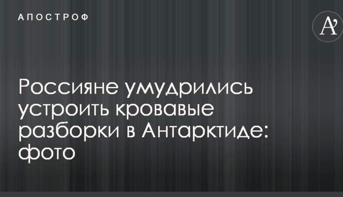Росіяни примудрилися влаштувати криваві розбірки в Антарктиді: фото