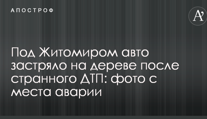 В Житомире авто застряло на дереве после странного ДТП: фото с места аварии
