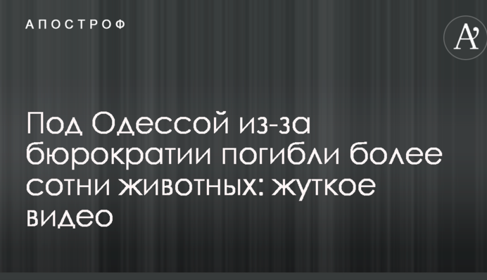 Под Одессой из-за бюрократии погибли более сотни животных: жуткое видео