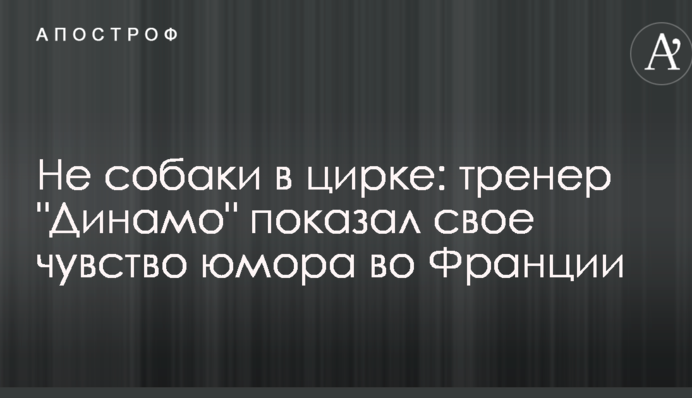 Не собаки в цирку: тренер 