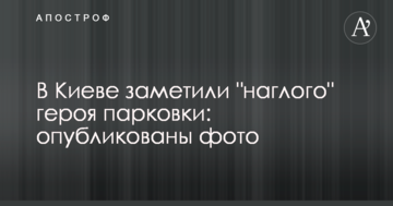 У Києві помітили "нахабного" героя парковки: опубліковано фото