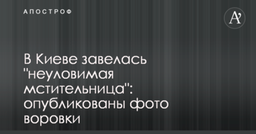 У Києві завелася "невловима месниця": опубліковано фото злодійки