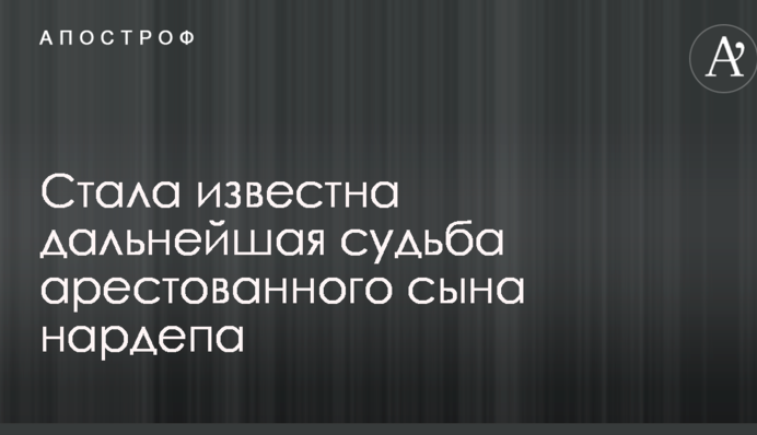 Стала відома подальша доля арештованого сина нардепа
