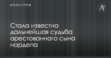 Стала известна дальнейшая судьба арестованного сына нардепа
