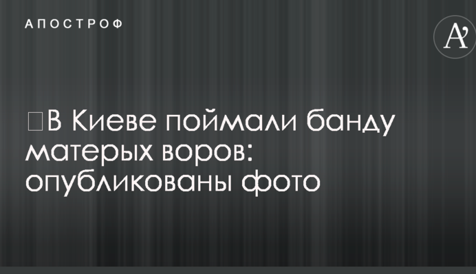 У Києві зловили банду запеклих злодіїв: опубліковано фото