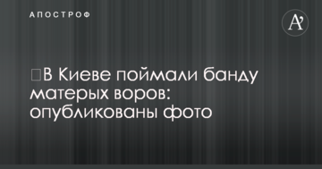 У Києві зловили банду запеклих злодіїв: опубліковано фото