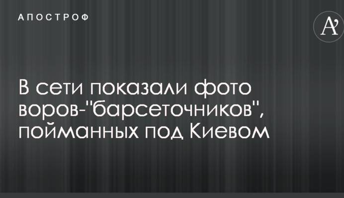 У мережі показали фото злодіїв-