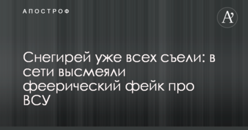 Снігурів вже всіх з'їли: в мережі висміяли феєричний фейк про ЗСУ